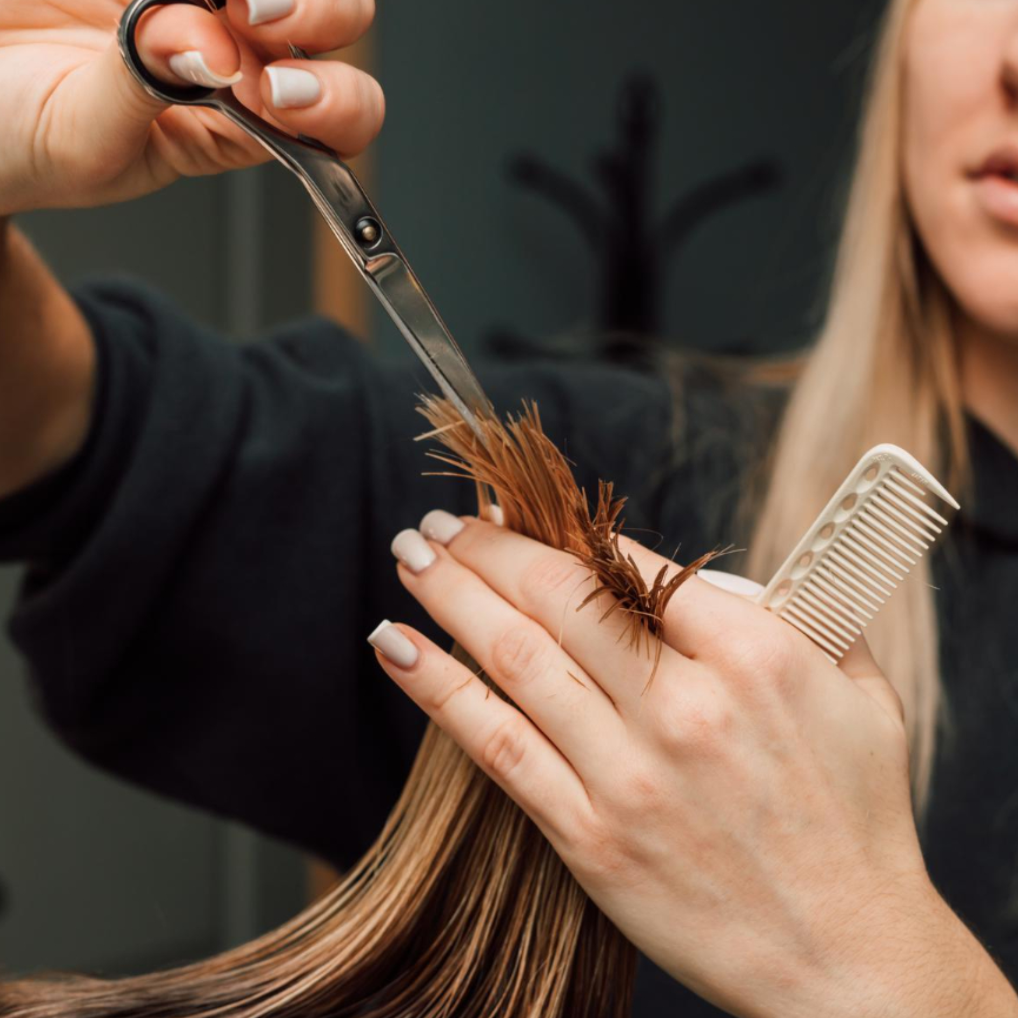 Corte de Cabello